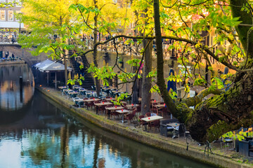 Fototapeta na wymiar Lush spring greenery over old channel - historic waterway in Utrecht city . Netherlands. Selective focus. 