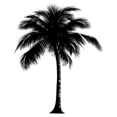 Silhouette coconut tree black color only