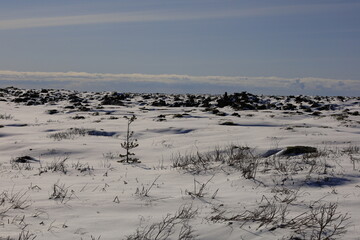 The Eldhraun is a lava flow formed during the eruption of Laki in 1783 located in southern Iceland