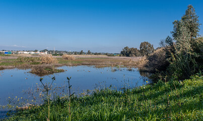 View of the Big Winter Pool after heavy rains in January 2024, Herzliya Park, Herzliya city, Israel  