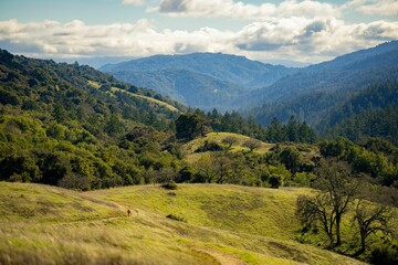 Obraz premium Mesmerizing view of the green hills and mountains against the cloudy sky in spring
