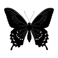 Silhouette butterfly full body black color only