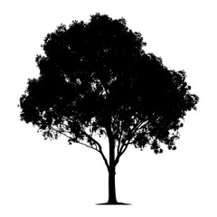 Silhouette tree nature black color only