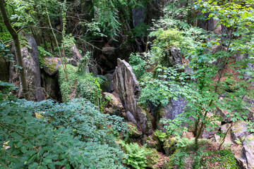 Felsenmeer in Hemer with huge rock formations in the forest
