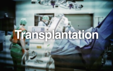Transplantation Schriftzug, im Hintergrund ein Operationssaal mit Chirurgen am Patienten, Geräte...