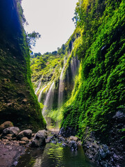 Madakaripura Waterfall with green natural In Probollingo, East Java, Indonesia.