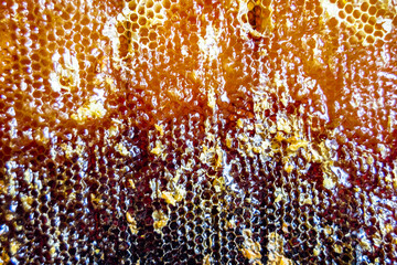 Drop of bee honey drip from hexagonal honeycombs filled with golden nectar