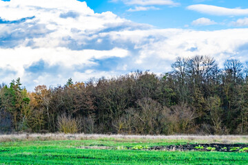 Fototapeta premium Photography on theme big empty farm field for organic harvest