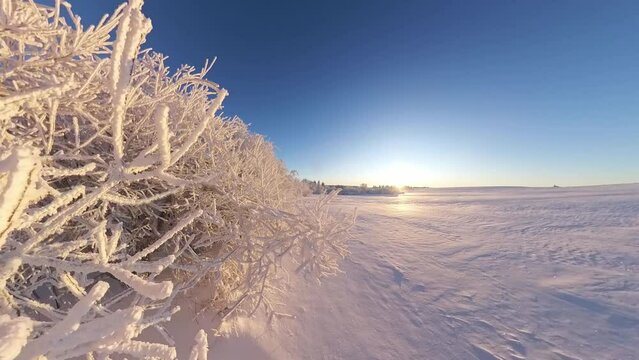 zauberhaft vereiste sonnige Winterlandschaft im Morgenlicht, Winterwunderland, Winterzauber, vereiste B&auml;ume, Schnee, K&auml;lte, Raureif, Natur, Idylle, Frost 
