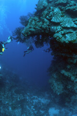 Grand Cayman Scuba Diving Photos