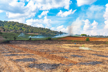 Slash-and-burn agriculture in the Chiang Mai province in northern Thailand. In the vernacular it is the burning season, an unhealthy air pollution until end of March - obrazy, fototapety, plakaty