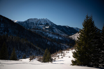 landscape of mountains in the winter