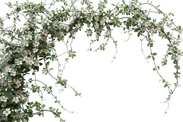 Cinquefoil Arch Design Isolated on Transparent Background - obrazy, fototapety, plakaty