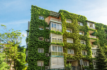 Green building with plants growing on the facade. Ecology and green living in city. Eco-building covered with ivy. Green wall or bio-wall. Ecological vertical forest.
