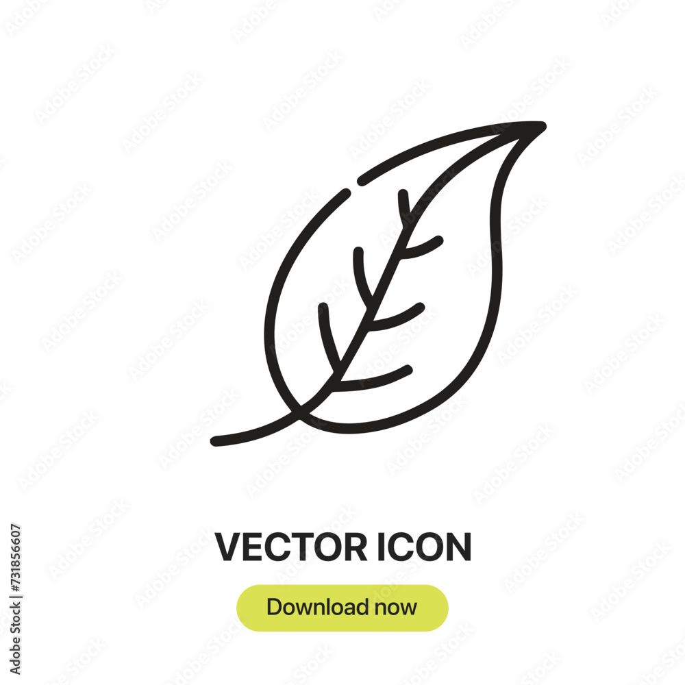 Poster Leaf icon vector. Linear-style sign for mobile concept and web design. Leaf symbol illustration. Pixel vector graphics - Vector.	
