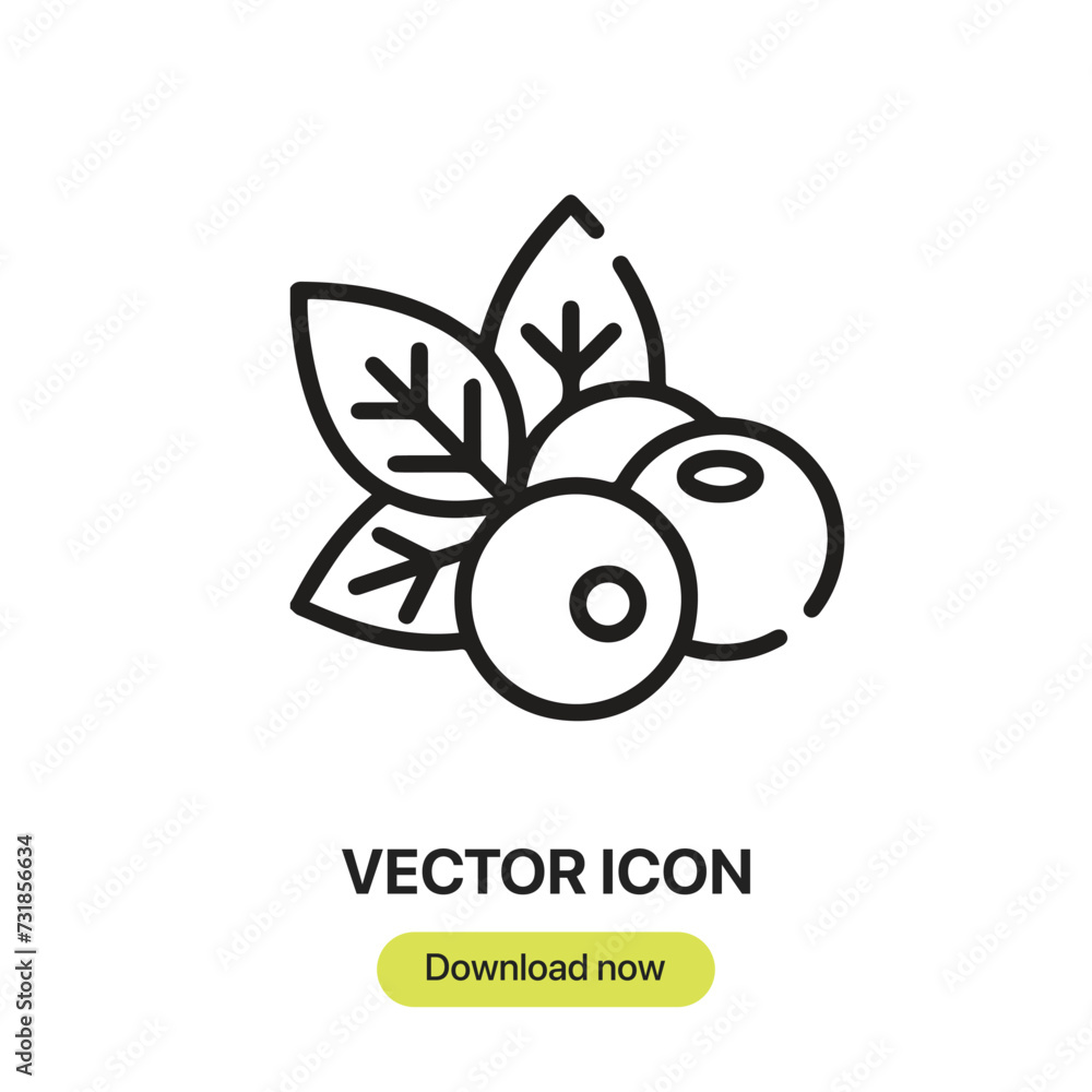 Aufkleber Berries icon vector. Linear-style sign for mobile concept and web design. Berries symbol illustration. Pixel vector graphics - Vector.	
