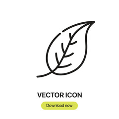 Leaf icon vector. Linear-style sign for mobile concept and web design. Leaf symbol illustration. Pixel vector graphics - Vector.	
