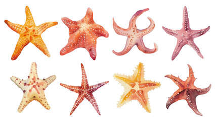 Set of starfish on a transparent background. Watercolor illustration. Clipart PNG