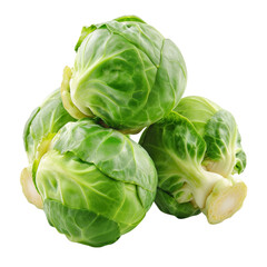Fototapeta premium Brussel Sprout Close-Up Isolated on Transparent or White Background, PNG