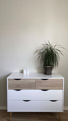Modern nordic style dresser with flower pot on it in front of clean wall - 731860410