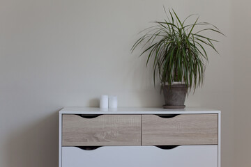 Modern nordic style dresser with flower pot on it in front of clean wall - 731860430
