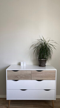 Modern nordic style dresser with flower pot on it in front of clean wall