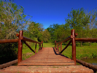 rustic bridge in the middle of nature