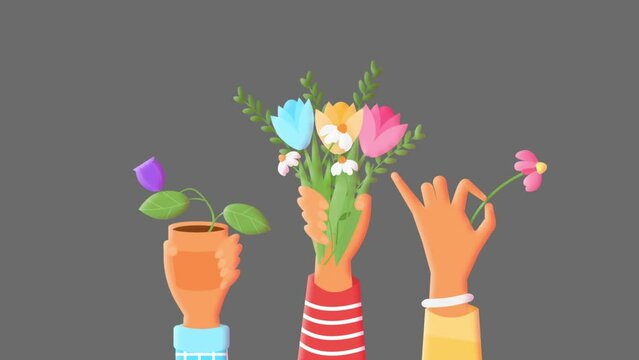 Women's hands holding flowers 2d flat animation, loop without background