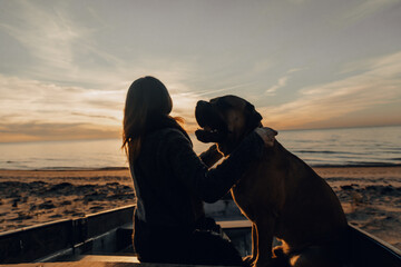 silhouette of a person on the beach with a dog watching sunset