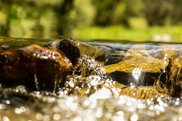 Agua