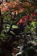 建物、昭和時代建物、紅葉、庭園