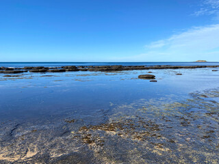 Shoreline of a beach at low tide covered with moss and lichen. Sand, pebbles and wet rocks at the edge of the ocean where the water has receded. Bay with blue sky and mountains in the distance. © Stephanie