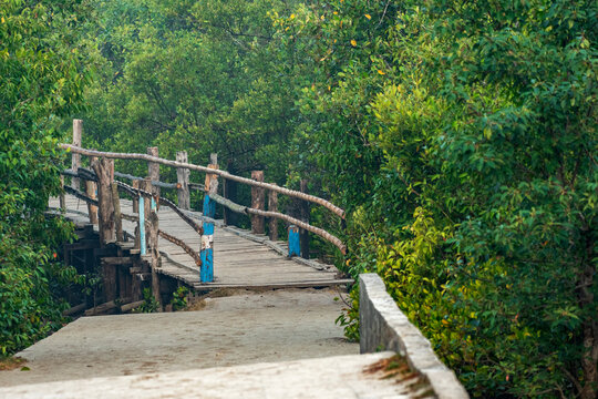 A bamboo bridge at the entry point of "Henry island" near Bakkhali, 24 Parganas, India.