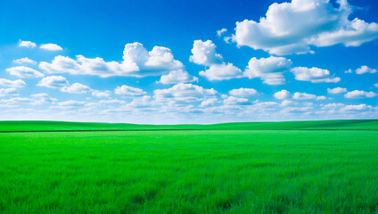 Obraz premium meadow, grassland, landscape,agriculture,lawn, field, sky, cloud, flower, nature, spring,Background image of a vast green field under a bright blue sky. bright green grass Receives light well The ba