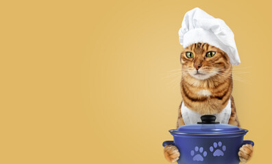 Funny cat - a cook with a pan in his paws