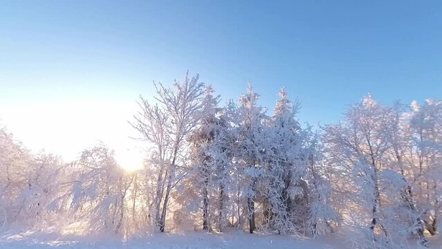 zauberhaft vereiste sonnige Winterlandschaft im Morgenlicht, Winterwunderland, Winterzauber, vereiste B&auml;ume, Schnee, K&auml;lte, Raureif, Natur, Idylle, Frost 
