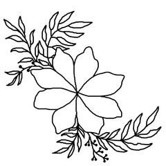 hand drawn flower corner line art