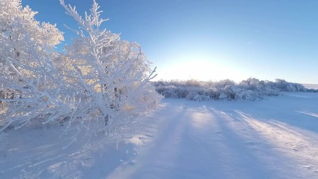zauberhaft vereiste sonnige Winterlandschaft im Morgenlicht, Winterwunderland, Winterzauber, vereiste B&auml;ume, Schnee, K&auml;lte, Raureif, Natur, Idylle, Frost 
