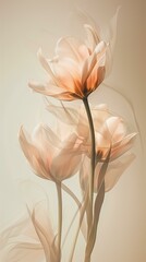 elegant flower composition with tulips, neutral colors,  blur