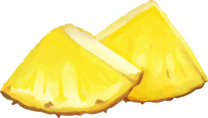 Pineapple slice watercolor illustration