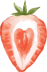 Half of strawberry watercolor illustration
