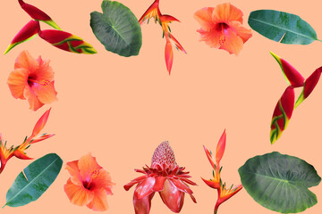 Photo collage of isolated tropical flowers and leaves on 2024 trend color Peach Fuzz  background - 731890867