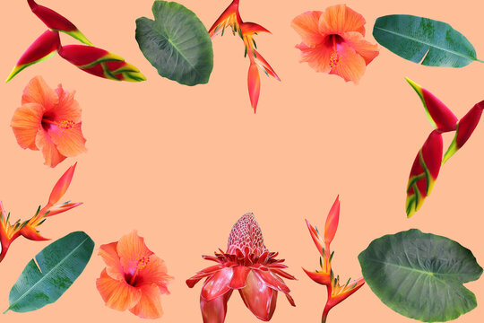 Photo collage of isolated tropical flowers and leaves on 2024 trend color Peach Fuzz  background