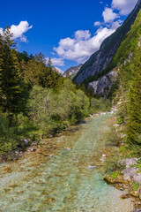 Fototapeta na wymiar Landscape near Vrsic, Triglavski national park, Slovenia