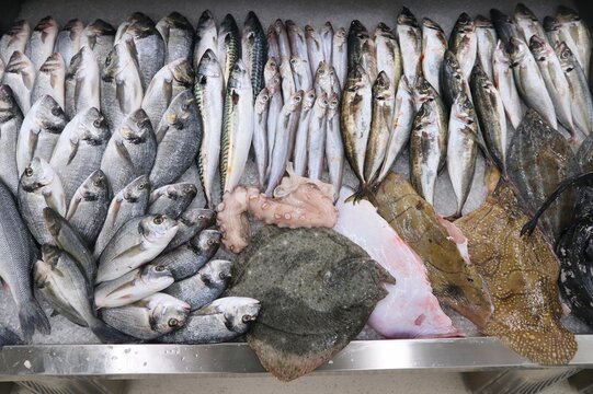 Fish market in Porto, Portugal