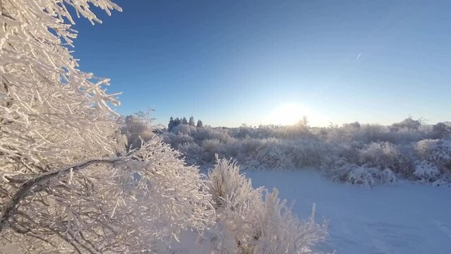 zauberhaft vereiste sonnige Winterlandschaft im Morgenlicht, Winterwunderland, Winterzauber, vereiste B&auml;ume, Schnee, K&auml;lte, Raureif, Natur, Idylle, Frost 
