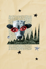 Collage image picture of funny domestic animal cow with big eyes isolated on creative drawing...