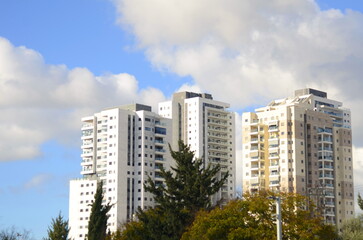 Modern residential building, tropical climate, palm trees, orange garden. Real estate in Israel.