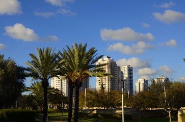 Modern residential building, tropical climate, palm trees, orange garden. Real estate in Israel.