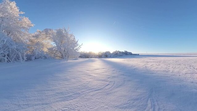zauberhaft vereiste sonnige Winterlandschaft im Morgenlicht, Winterwunderland, Winterzauber, vereiste B&auml;ume, Schnee, K&auml;lte, Raureif, Natur, Idylle, Frost 
